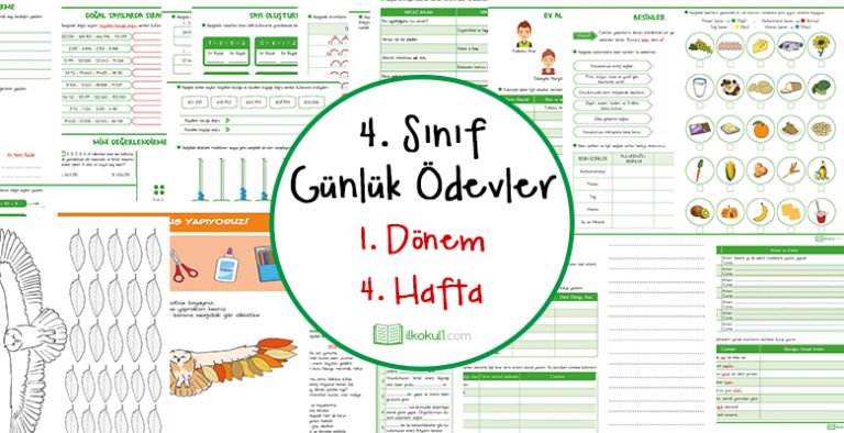4. Sınıf Günlük Ödevler 1. Dönem 4. Hafta