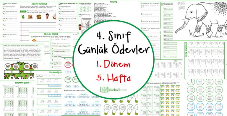4. Sınıf Günlük Ödevler 1. Dönem 5. Hafta