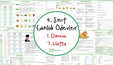 4. Sınıf Günlük Ödevler 1. Dönem 7. Hafta