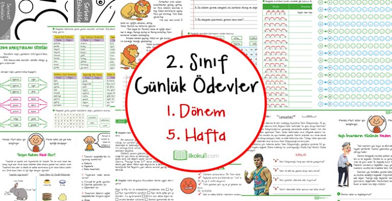 2. Sınıf Günlük Ödevler 1. Dönem 5. Hafta