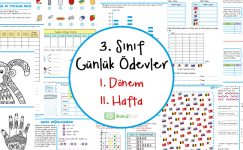 3. Sınıf Günlük Ödevler 1. Dönem 11. Hafta