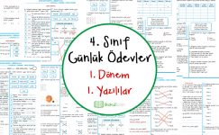 4. Sınıf Günlük Ödevler 1. Dönem 1. Yazılı Sınavlar