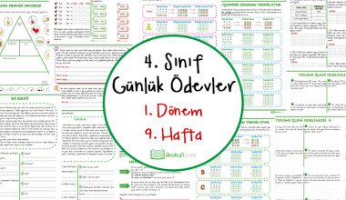 4. Sınıf Günlük Ödevler 1. Dönem 9. Hafta