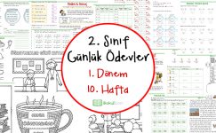 2. Sınıf Günlük Ödevler 1. Dönem 10. Hafta