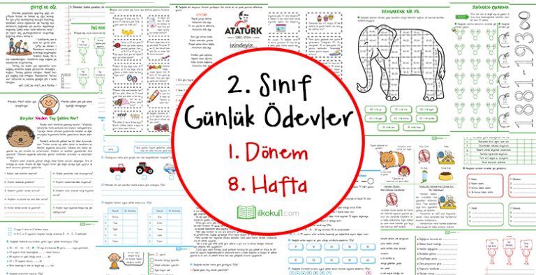 2. Sınıf Günlük Ödevler 1. Dönem 8. Hafta