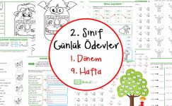 2. Sınıf Günlük Ödevler 1. Dönem 9. Hafta