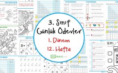3. Sınıf Günlük Ödevler 1. Dönem 12. Hafta