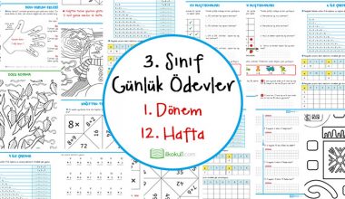 3. Sınıf Günlük Ödevler 1. Dönem 12. Hafta