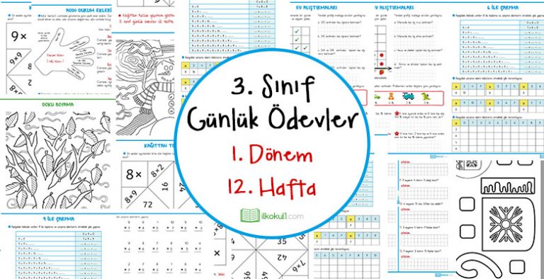 3. Sınıf Günlük Ödevler 1. Dönem 12. Hafta