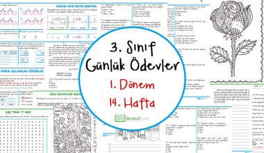 3. Sınıf Günlük Ödevler 1. Dönem 14. Hafta