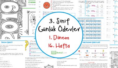 2018-2019 3. Sınıf Günlük Ödevler 1. Dönem 16. Hafta