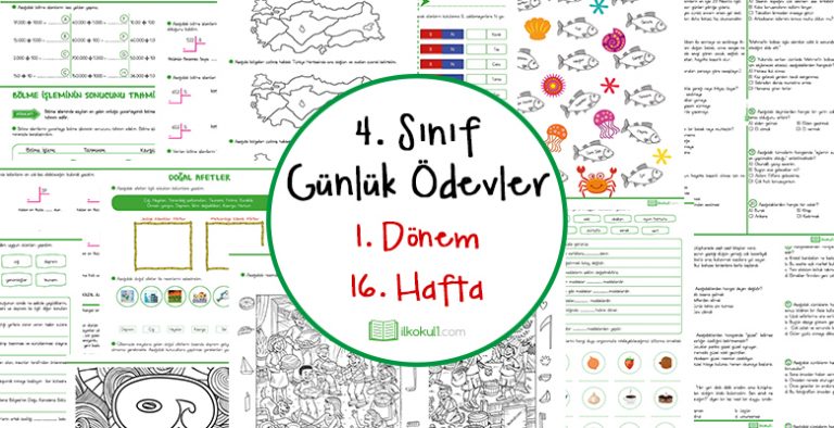 2018-2019 4. Sınıf Günlük Ödevler 1. Dönem 16. Hafta