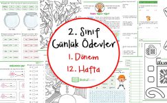 2. Sınıf Günlük Ödevler 1. Dönem 12. Hafta