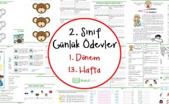 2. Sınıf Günlük Ödevler 1. Dönem 13. Hafta