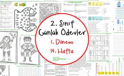2. Sınıf Günlük Ödevler 1. Dönem 14. Hafta