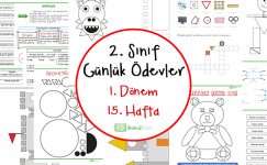 2018-2019 2. Sınıf Günlük Ödevler 1. Dönem 15. Hafta
