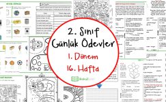 2. Sınıf Günlük Ödevler 1. Dönem 16. Hafta
