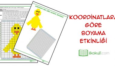 Koordinatlara Göre Boyama Etkinliği