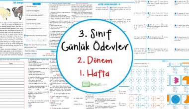 3. Sınıf Günlük Ödevler 2. Dönem 1. Hafta