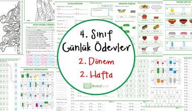 4. Sınıf Günlük Ödevler 2. Dönem 2. Hafta