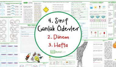 4. Sınıf Günlük Ödevler 2. Dönem 3. Hafta