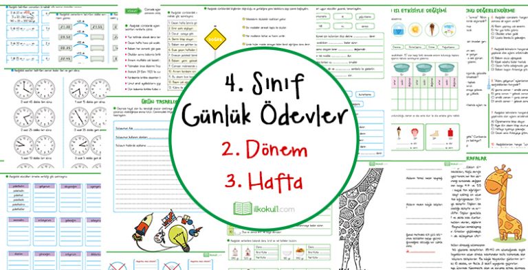 4. Sınıf Günlük Ödevler 2. Dönem 3. Hafta