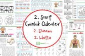 2. Sınıf Günlük Ödevler 2. Dönem 2. Hafta