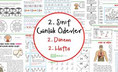 2. Sınıf Günlük Ödevler 2. Dönem 2. Hafta