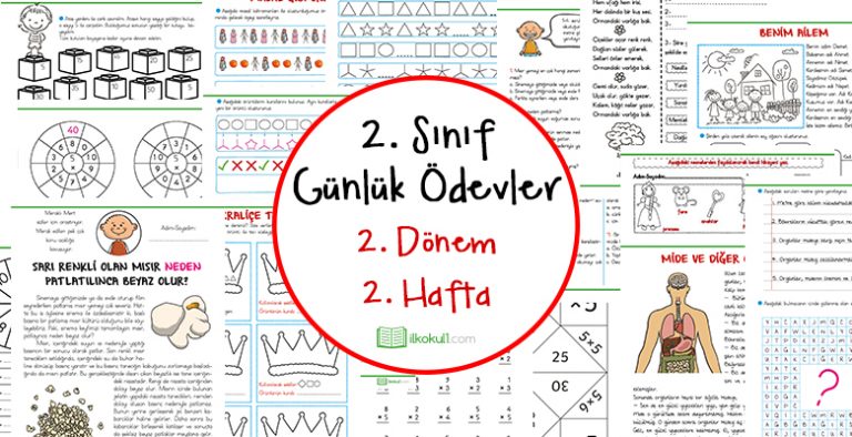 2. Sınıf Günlük Ödevler 2. Dönem 2. Hafta