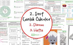 2. Sınıf Günlük Ödevler 2. Dönem 3. Hafta