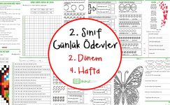 2. Sınıf Günlük Ödevler 2. Dönem 4. Hafta