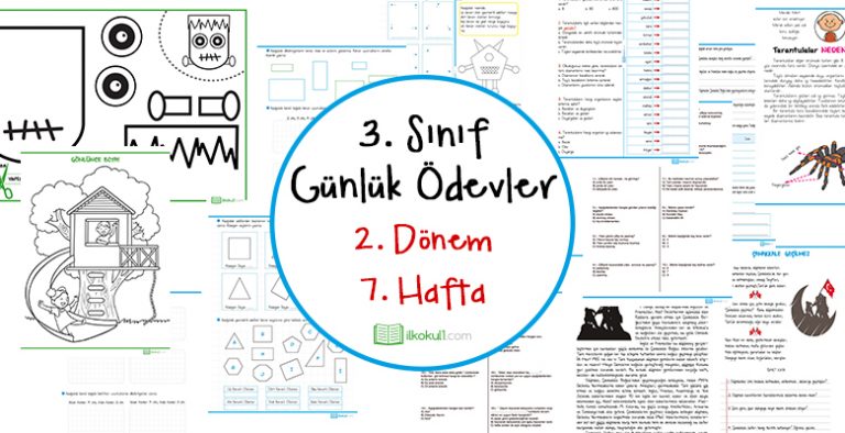 3 Sinif Gunluk Odevler 2 Donem 7 Hafta Sinif Ogretmenleri