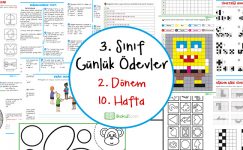 2018-2019 3. Sınıf Günlük Ödevler 2. Dönem 10. Hafta