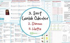2018-2019 3. Sınıf Günlük Ödevler 2. Dönem 11. Hafta