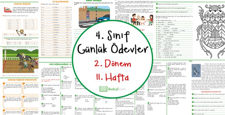 4. Sınıf Günlük Ödevler 2. Dönem 11. Hafta