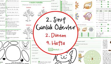 2. Sınıf Günlük Ödevler 2. Dönem 9. Hafta