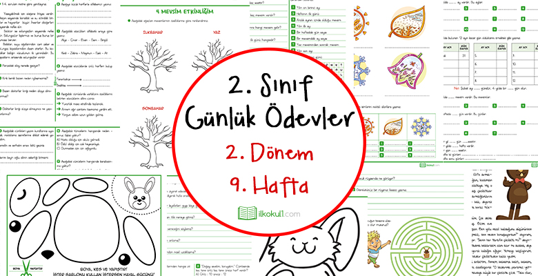 2. Sınıf Günlük Ödevler 2. Dönem 9. Hafta