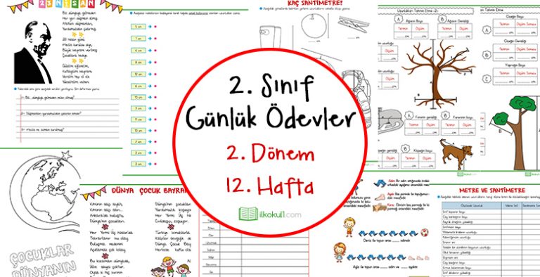 2018-2019 2. Sınıf Günlük Ödevler 2. Dönem 12. Hafta