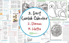 2018-2019 3. Sınıf Günlük Ödevler 2. Dönem 14. Hafta
