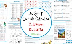 2018-2019 3. Sınıf Günlük Ödevler 2. Dönem 16. Hafta