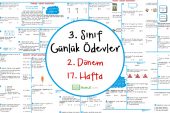 2018-2019 3. Sınıf Günlük Ödevler 2. Dönem 17. Hafta