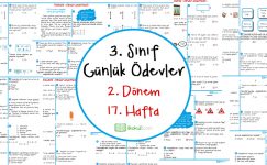 2018-2019 3. Sınıf Günlük Ödevler 2. Dönem 17. Hafta