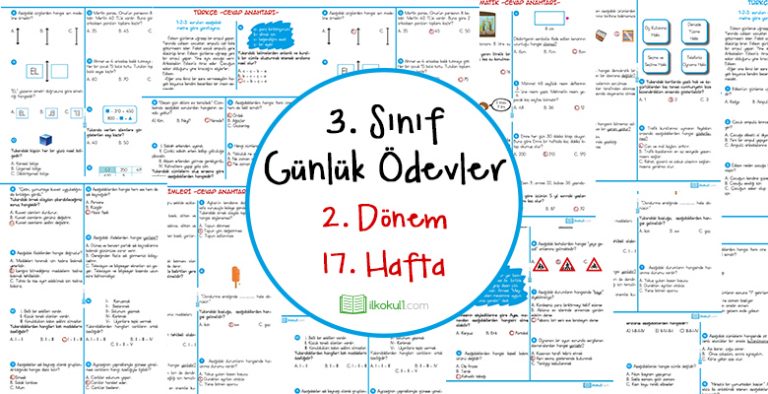 2018-2019 3. Sınıf Günlük Ödevler 2. Dönem 17. Hafta
