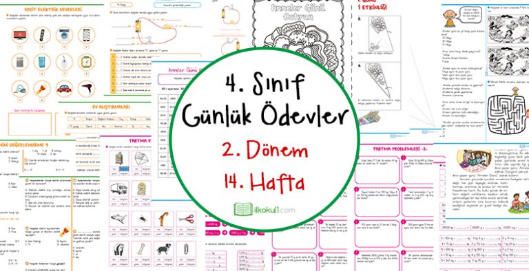2018-2019 4. Sınıf Günlük Ödevler 2. Dönem 14. Hafta