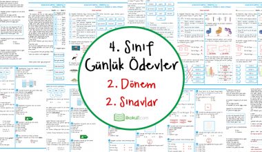 4. Sınıf  2. Dönem 2. Yazılı Sınavlar ve Cevap Anahtarları