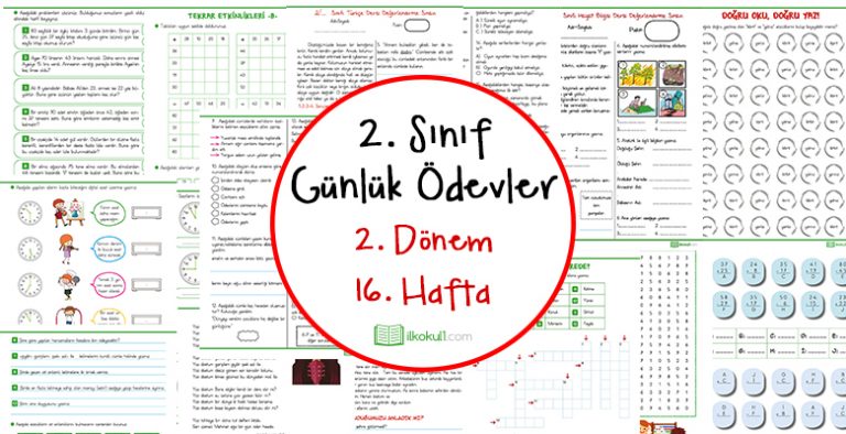 2018-2019 2. Sınıf Günlük Ödevler 2. Dönem 16. Hafta