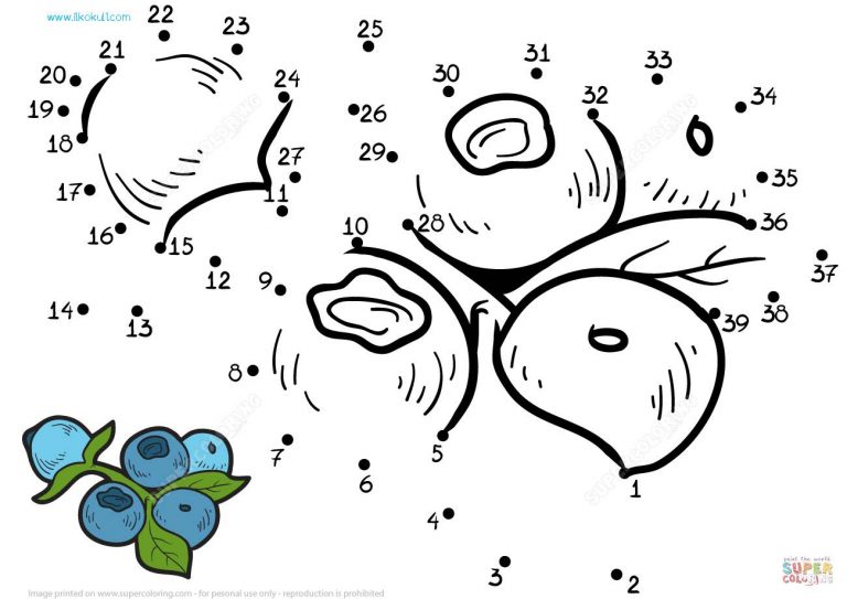 “Meyveler” Nokta Birleştir ve Boya Çalışmaları