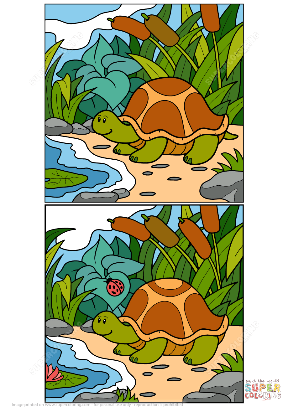 Задачи про черепаху