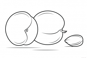 Kayısı Boyama Sayfaları