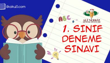 1. SINIF 1. DÖNEM 2. PEKİŞTİRME ETKİNLİĞİ (ANDS1 KDS2)